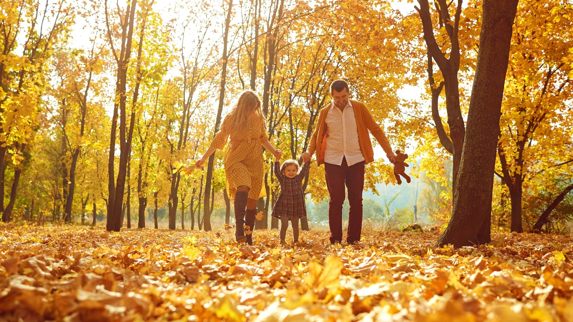 Famille se promenant dans un parc à l’automne, entourée d’arbres aux feuilles dorées et d’un tapis de feuilles au sol.